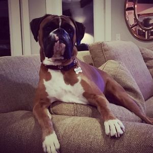 Meet your Posher, Allison